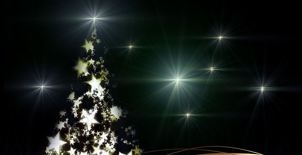 Kerstsluiting Reducel 2025.